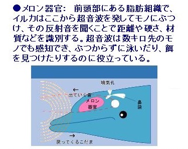 20180521171336.jpg 20180521171336.jpg